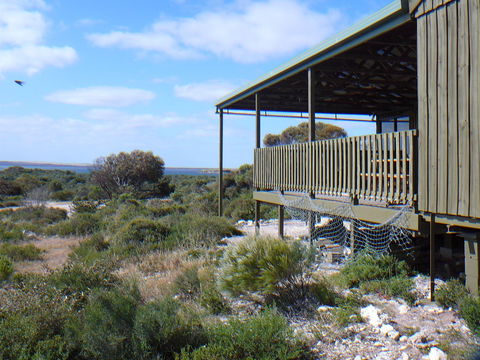 Melaleuca - Eco And Pet Friendly,  Harbor Point Cabins - St Kilda Accommodation 1