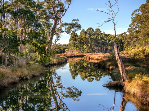 Saintys Creek Cottage - St Kilda Accommodation 1
