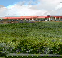 Turners Vineyard Motel - St Kilda Accommodation