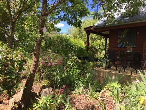 Artscape Cottage Beechworth - St Kilda Accommodation 2