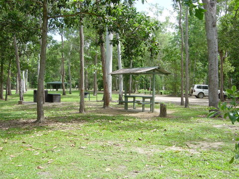 Broadwater Camping Area, Abergowrie State Forest - St Kilda Accommodation 0