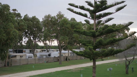 Cape Jaffa Caravan Park - St Kilda Accommodation 2