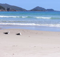 Eagles Rise Tasmania - St Kilda Accommodation