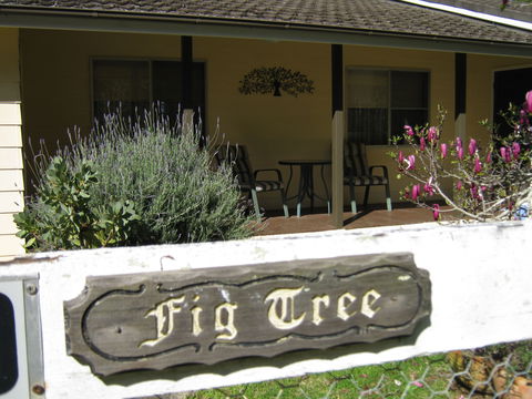 Figtree Cottage - St Kilda Accommodation 0