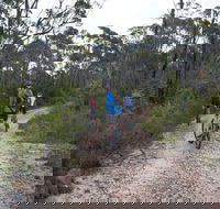 Ingar campground - St Kilda Accommodation