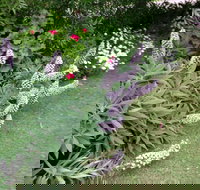 Padthaway Caravan Park - St Kilda Accommodation