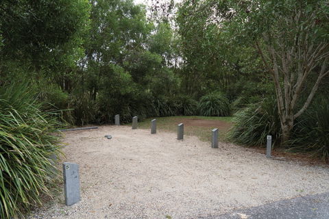 Springbrook National Park Camping - St Kilda Accommodation 0