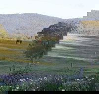 Wallaby Cottage - St Kilda Accommodation