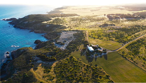 Yondah Beach House - St Kilda Accommodation 1