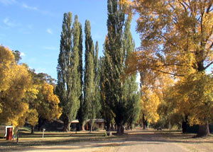 Omeo Caravan Park - St Kilda Accommodation 0