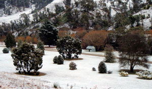 Omeo Caravan Park - St Kilda Accommodation 1