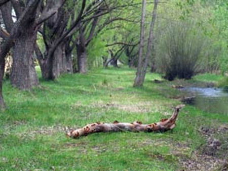 Omeo Caravan Park - St Kilda Accommodation 3