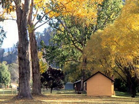 Omeo Caravan Park - St Kilda Accommodation 4