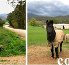 Emerald Park Holiday Farm - St Kilda Accommodation