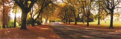 La Trobe At Beechworth - St Kilda Accommodation 0