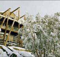Silverski - St Kilda Accommodation