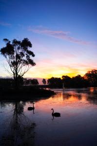 WorldMark Resort Ballarat - St Kilda Accommodation 5