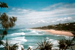 Melaluka And Costa Bella Luxury Apartments - St Kilda Accommodation 1
