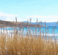White Sands Estate - St Kilda Accommodation