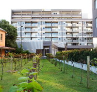 Honeysuckle Executive Apartments - St Kilda Accommodation