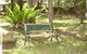 Lorikeet Cottage - thumb 3