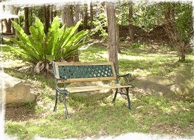 Lorikeet Cottage - St Kilda Accommodation 3