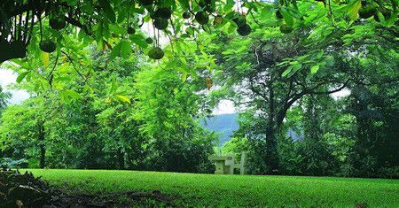 Misty Mountain Retreat - St Kilda Accommodation 0