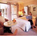 Sydney Palm Court Motor Inn - St Kilda Accommodation