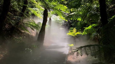 Australian National Botanic Gardens - St Kilda Accommodation 4