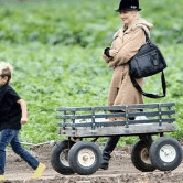 Perth City Farm Organic Markets - St Kilda Accommodation