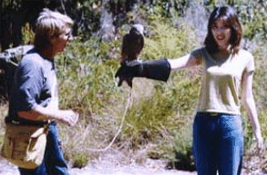 Eagles Heritage Raptor Wildlife Centre - St Kilda Accommodation 2