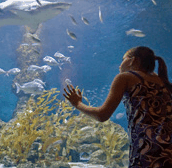 The Aquarium of Western Australia - St Kilda Accommodation