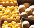 Brisbane Markets - St Kilda Accommodation