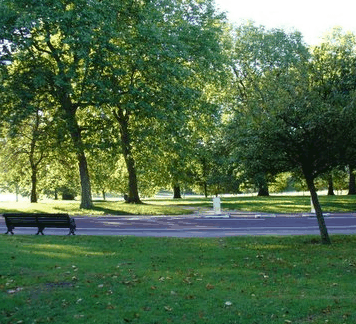Roma Street Parkland - St Kilda Accommodation 0