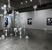 Nellie Castan Gallery - St Kilda Accommodation