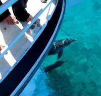 Pelican Charters - St Kilda Accommodation