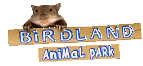 Birdland Animal Park - St Kilda Accommodation