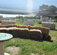 We Are Paintball - St Kilda Accommodation