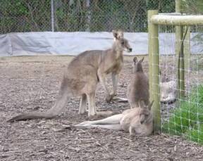 Barwon Heads VIC St Kilda Accommodation