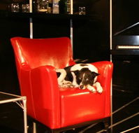 Old Fitzroy Theatre - St Kilda Accommodation