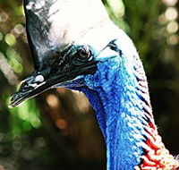 Alma Park Zoo - St Kilda Accommodation