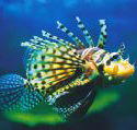 Underwater World - St Kilda Accommodation