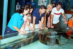 Underwater World - St Kilda Accommodation 3