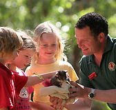 Cleland Wildlife Park - St Kilda Accommodation