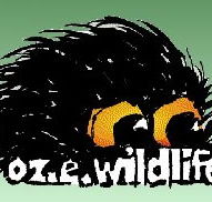 OZe Wildlife - St Kilda Accommodation