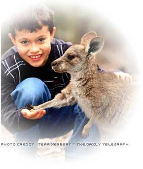 Australia Walkabout Wildlife Park - St Kilda Accommodation 1