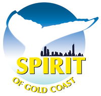 Spirit of Gold Coast Whale Watching - St Kilda Accommodation