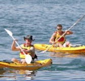 Manly Kayaks - St Kilda Accommodation