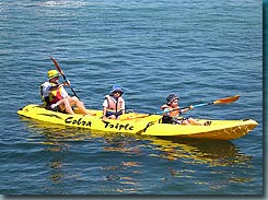 Manly Kayaks - St Kilda Accommodation 3