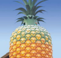 The Big Pineapple - St Kilda Accommodation